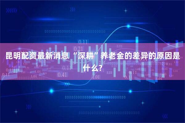 昆明配资最新消息 “深耕”养老金的差异的原因是什么?